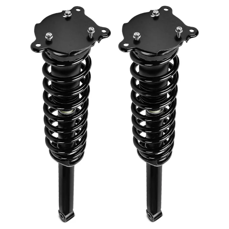 2Pcs Rear Complete Strut&Coil Spring Assembly for Tesla Model S 2012-2016 RWD 101562000A  1015620-00-D 1015620-01-D 1015620-03-B