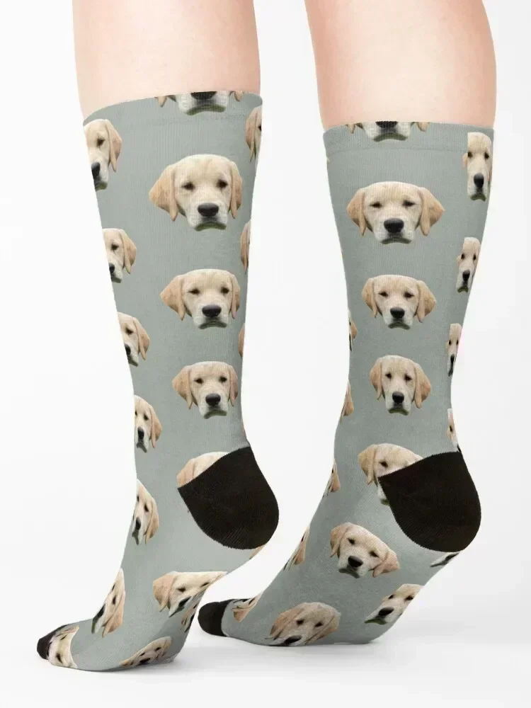 Golden Retriever Socks Non-slip short designer warm winter Women Socks Men's