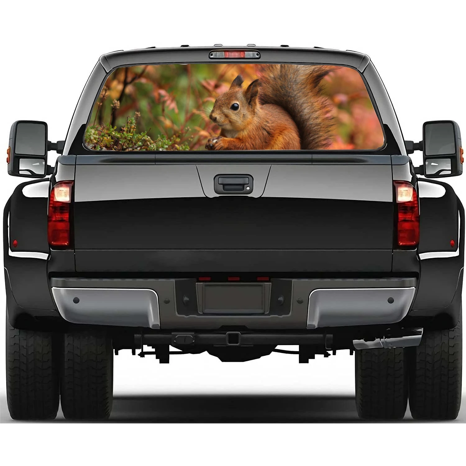 

squirrel animal cute Car Window Decal Sticker Graphic Decorative Truck Perforated Vinyl Universal Wrap Sticker