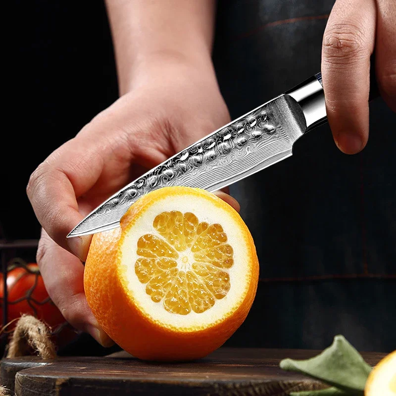 

Damascus Paring Knife 3.5 Inch Fruit Knives Japanese Damascus High Carbon Steel 67-Layer Pro Kitchen Knife Fruit Carving Knife