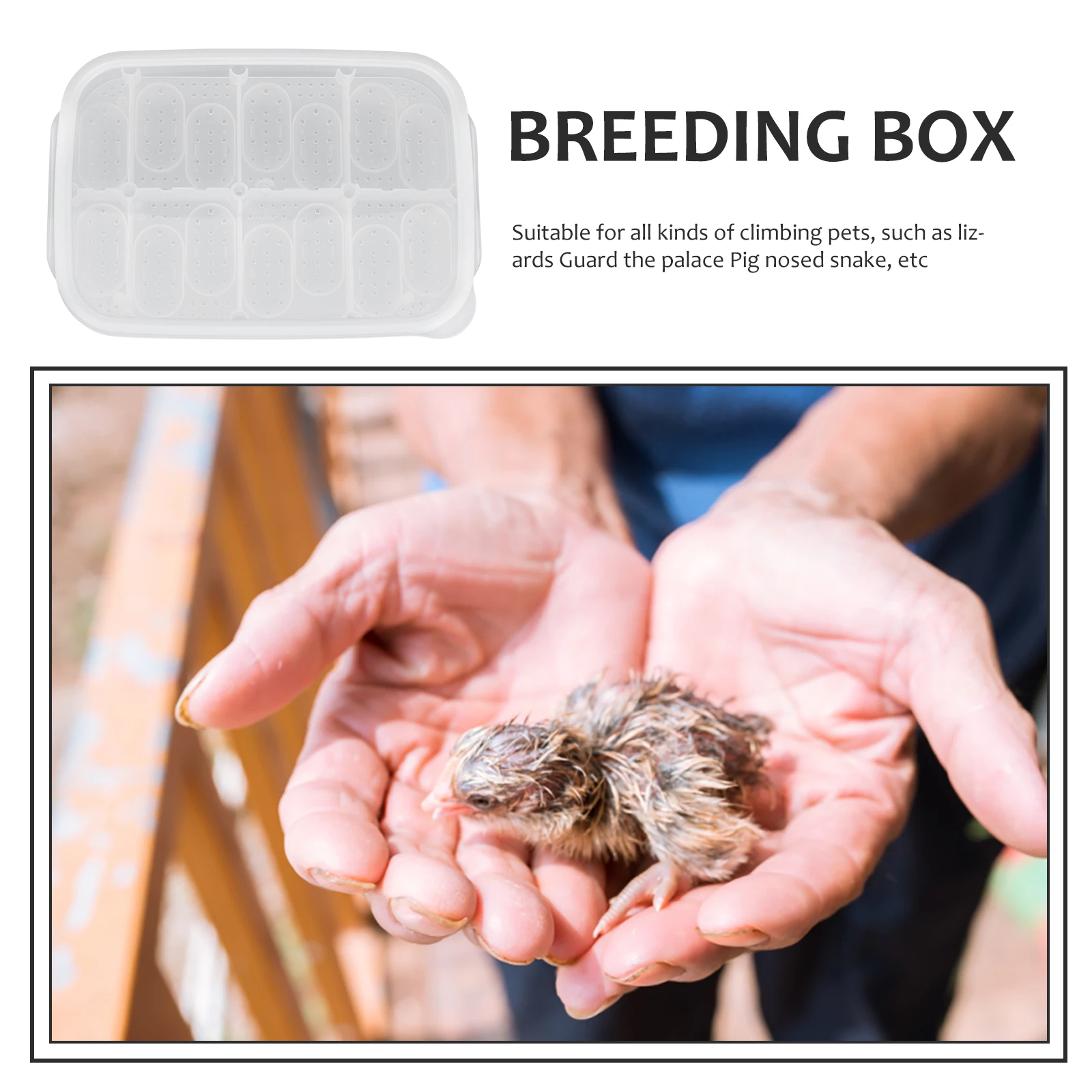 

Lightweight 14 Compartment Reptile Incubator Box Professional Breeding Case For Lizards Snakes Eggs Reptile Supplies
