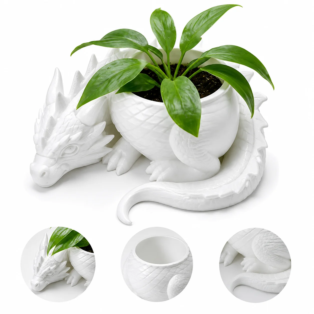 Dreamy Dragon Shaped Protective Flowerpot, Creative Succulent Flowerpot, desktop Decorative Accessory