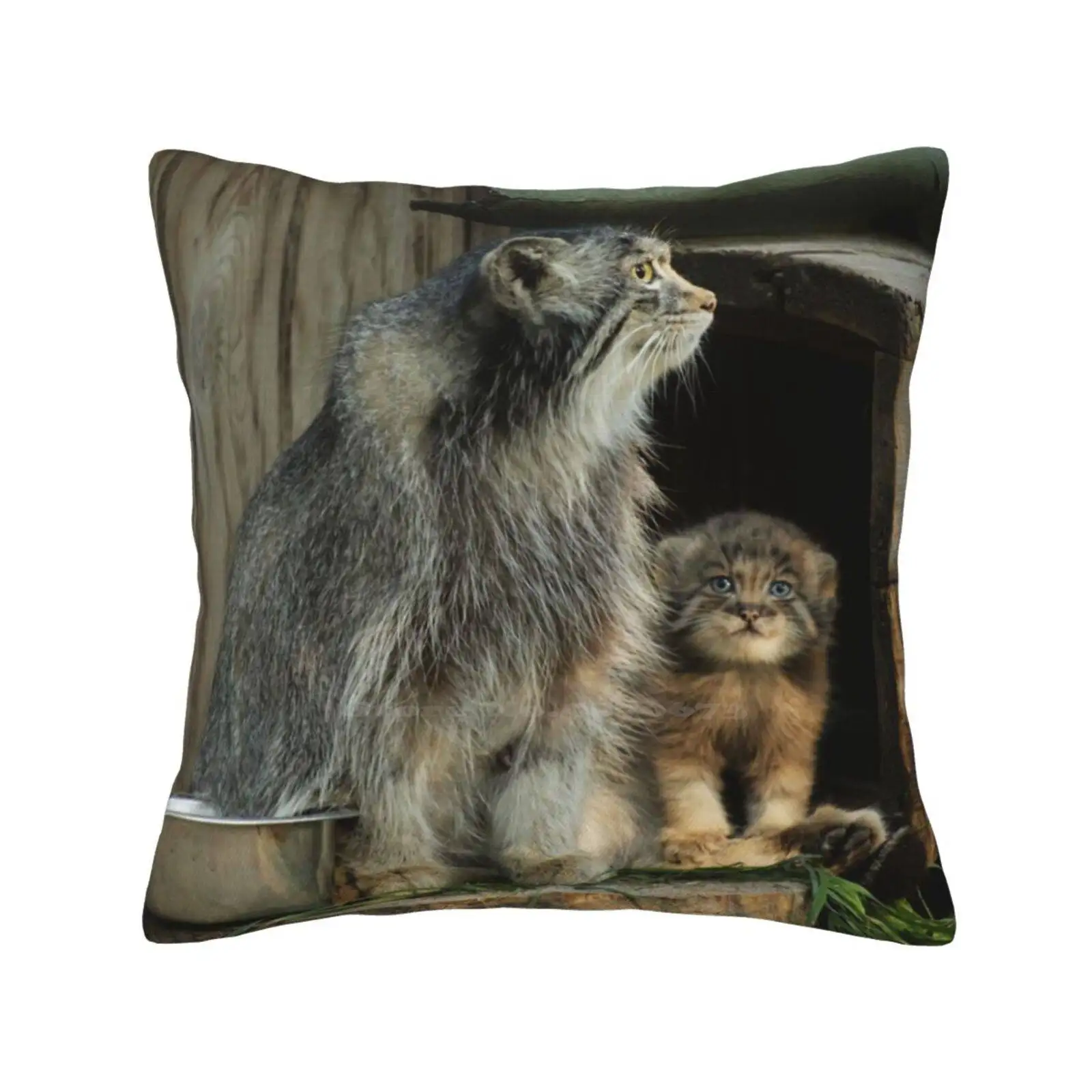 Manul Is The Crown Of Cat Beauty Pillow Cover Hug Pillowcase Manuls Pallass Cats Pallas Cats Kitten Fluffy Cat