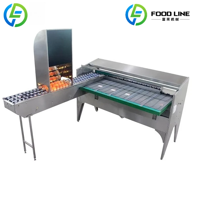 Customized High Speed Egg Sorting Machine Fast Processing Speed Automatic Egg Grader Machine For Large Capacity Production