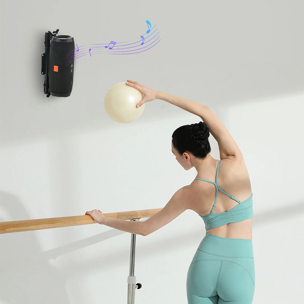 Speaker Wall Bracket Speaker Holder Wall Mount Bracket Stand Wall Mount Ceiling Mount for Charge 5/Flip 6 BT Speaker