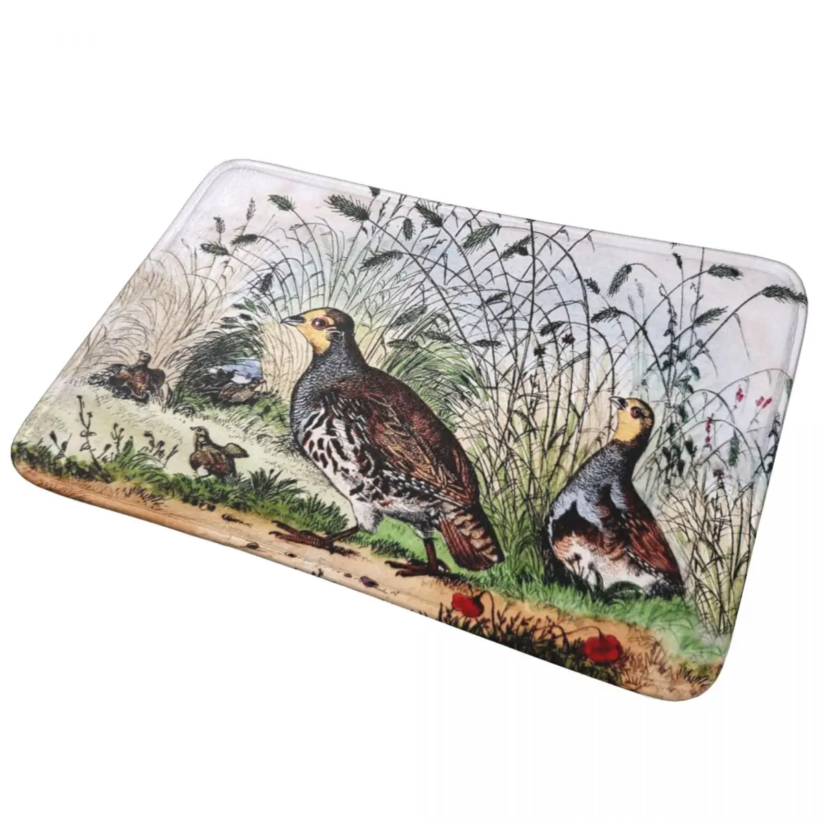 Antique French Bird Engraving Doormat Anti-skid Super Absorbent Bath Mats Home Entrance Rugs Bedroom Carpet Hallway Footpad