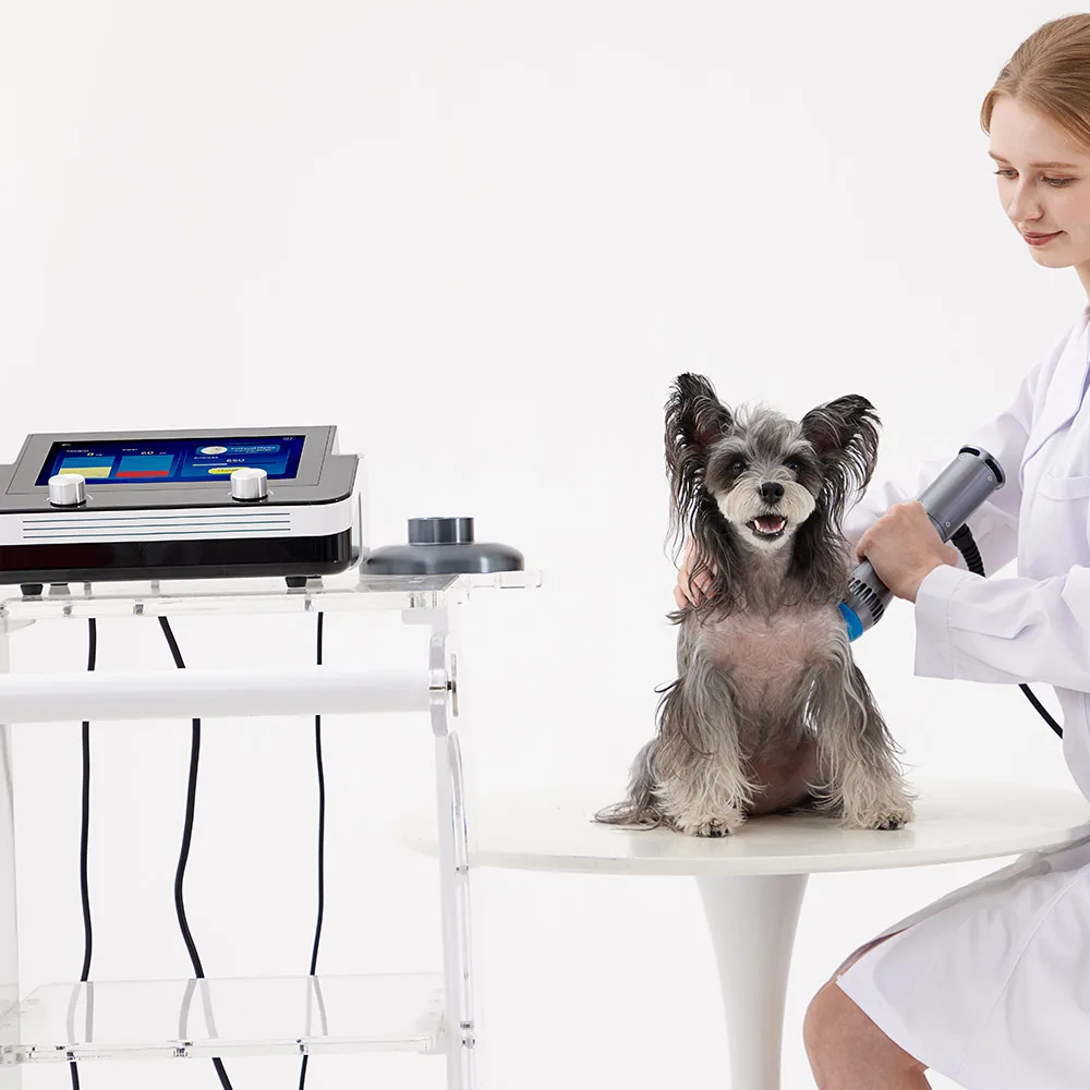 Portable Eswt Shockwave Therapy Machine Shock Wave Physiotherapy For Pain Relief In Animals