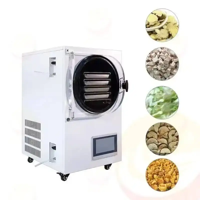 Freeze Drying Machine Small Vacuum Lab Freeze Dry Machine Home Use Mini Food Freeze Dryer Machine