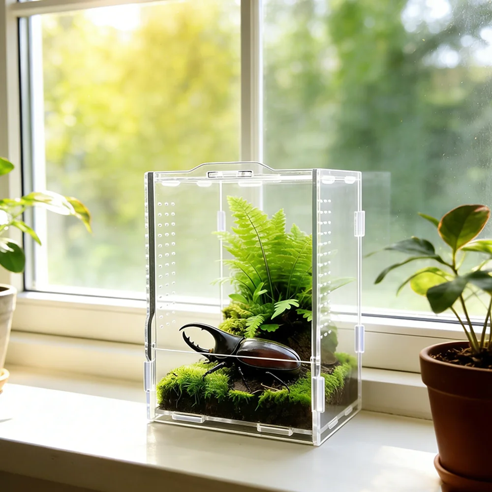 Acryl-Käfig für Kriechtiere, Maßgefertigte Transparente Fütterungsbox, Regenwald-Landschaftsgestaltung für Spinnen, Dekorative Lebendbox für Kriechtiere – Detail 7