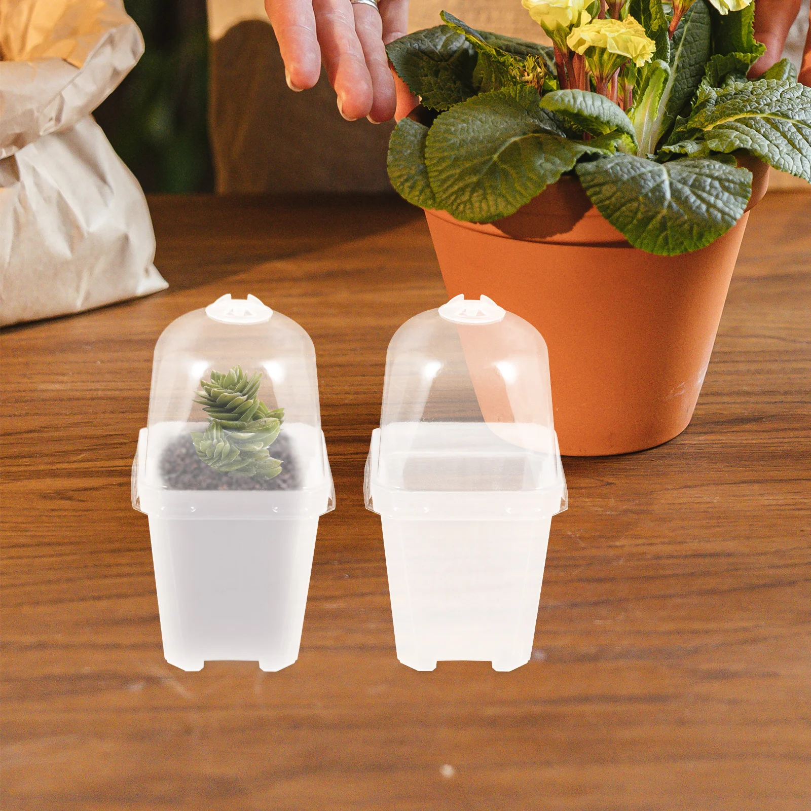 

20 Sets Square Flower Pot Lids Plant Cultivation Cups Gardening Pots Thickened PP Material Transparent Lid Durable Outdoor