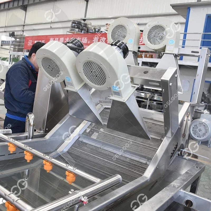 Gelgoog ถั่วชิกพีอัตโนมัติถั่วเหลืองเมล็ดกาแฟถั่วเหลืองซักผ้าและสายอบแห้งเครื่องทําความสะอาดถั่วงอกถั่วเขียว