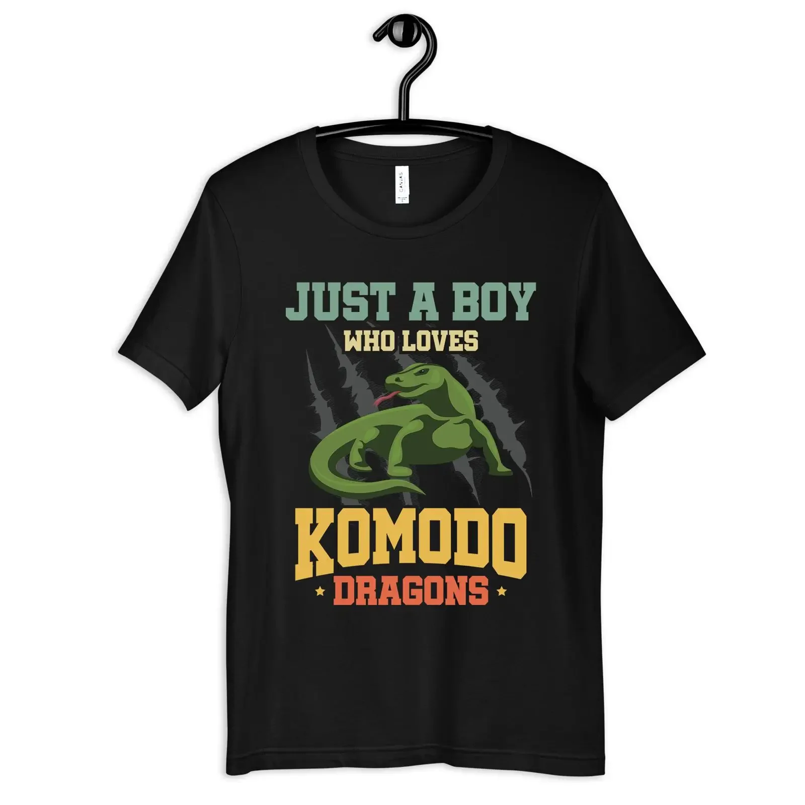 Boy Who Loves Komodo Dragons T Shirt Dragon Kids Toddler  vintage Washed Soft Stretched graphic fashion Comfortable Slightly