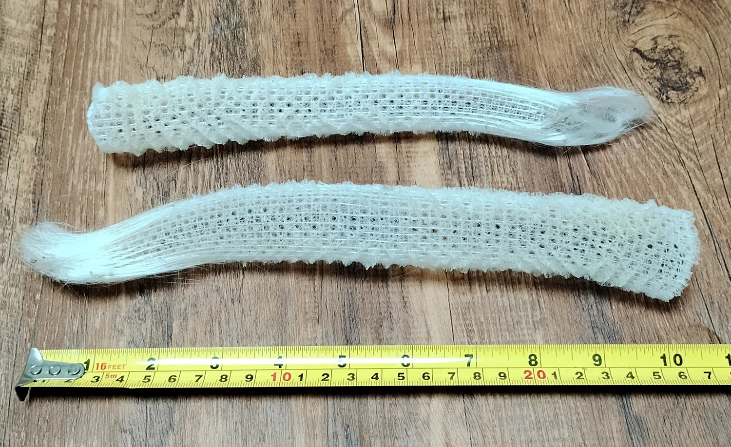 1 PC Sea Porifera Sponge, Euplectella Shell Ocean Creatures Venus Flower Basket Conch CollectionAquarium Decoration Landscaping