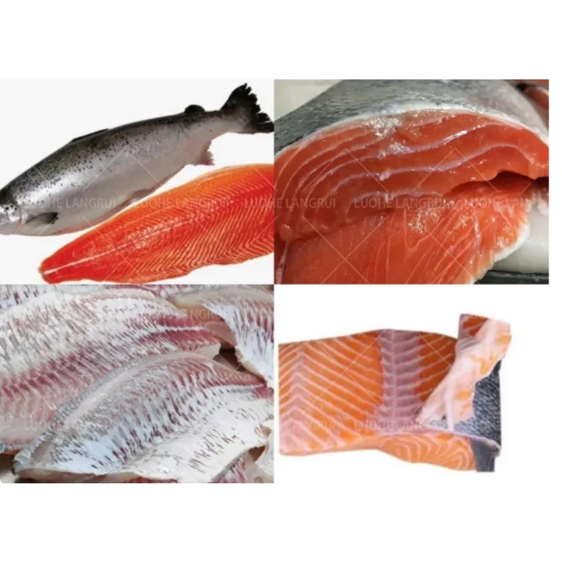 Fish Processing Machine Fish Skinning Machine Salmon Tuna Squid Fish Skin Separating Peeling Machine For Sale