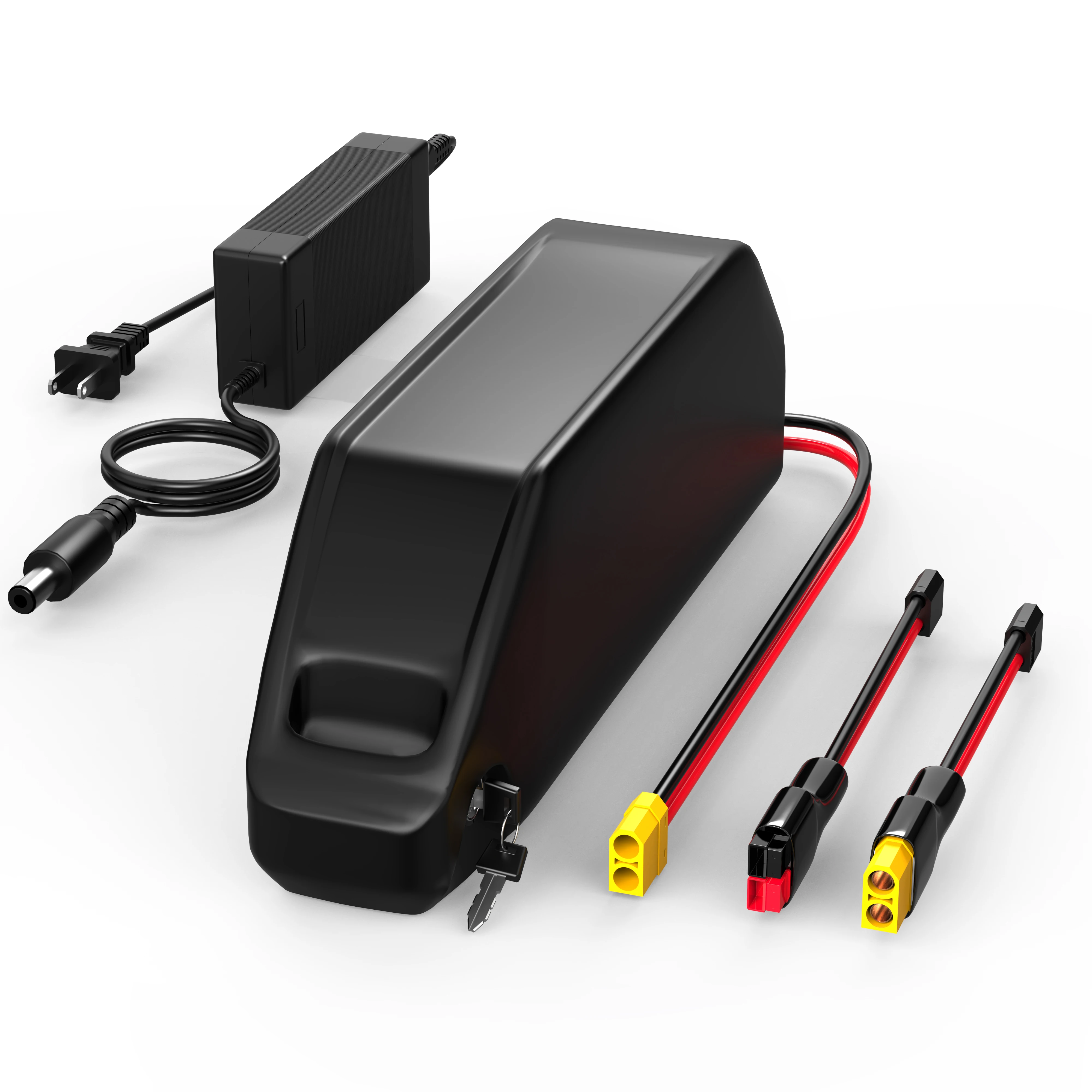 

Hailong EBike Battery 52V 25Ah with 50A BMS SamSung 21700 50G Cells Lithium Electric Bicycles Battery for 100W-2500W & Charger