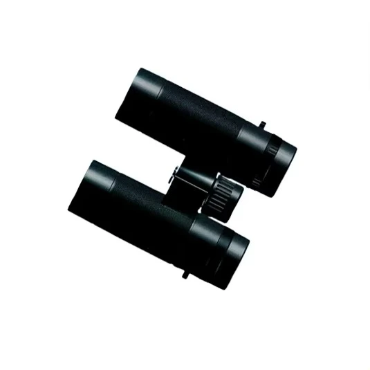 2309-3  Portable 10x42 Roof Prism Binocular Multi-coated Optics Fogproof Shockproof Telescope Center Focus for  Hiking