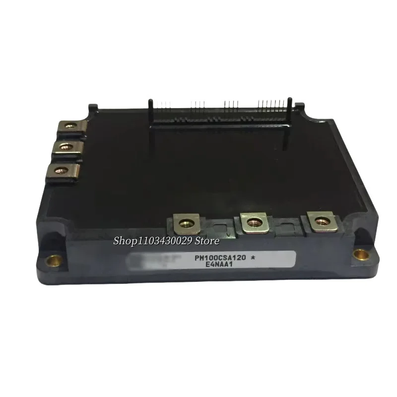 

PM100CSA120