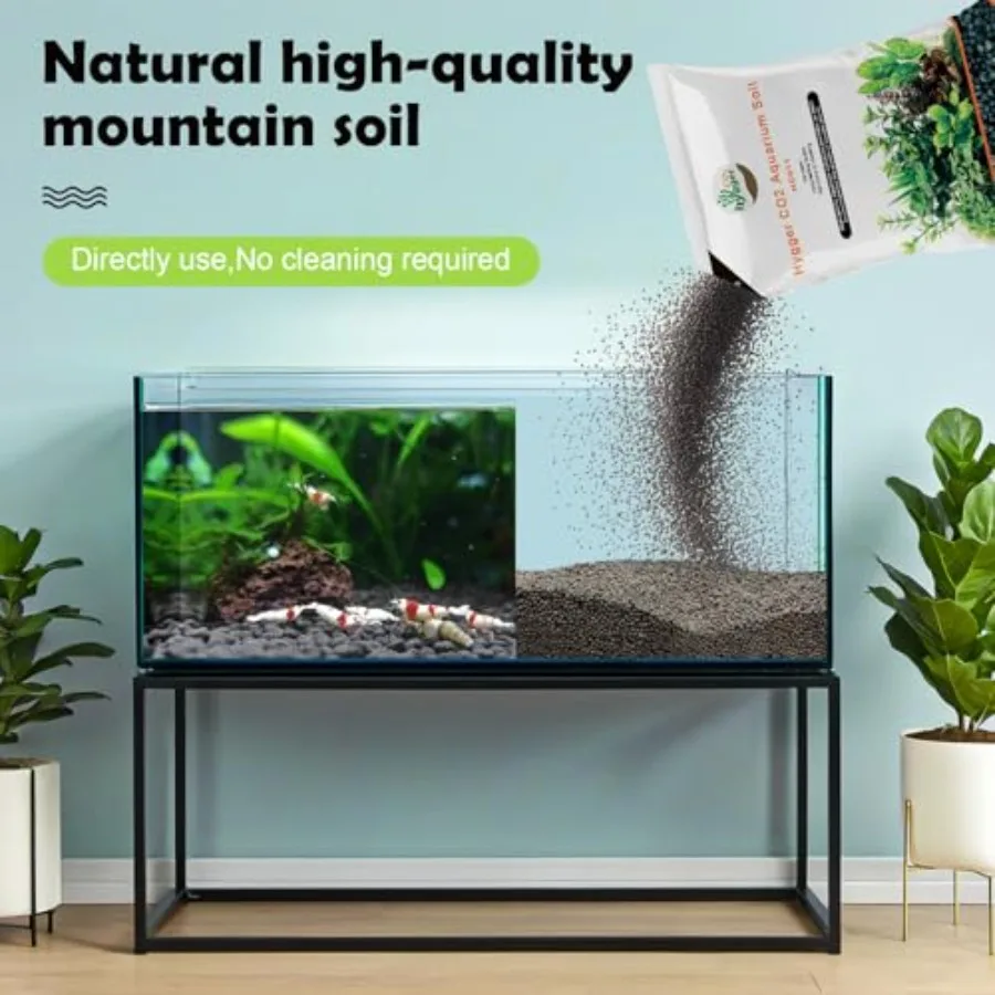 planted aquarium with fish