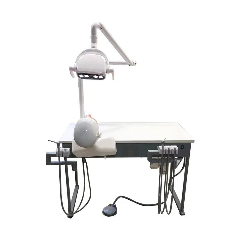 China Manufacturer Dental Student Training Unit Dental Phantom Head Dental Simulator