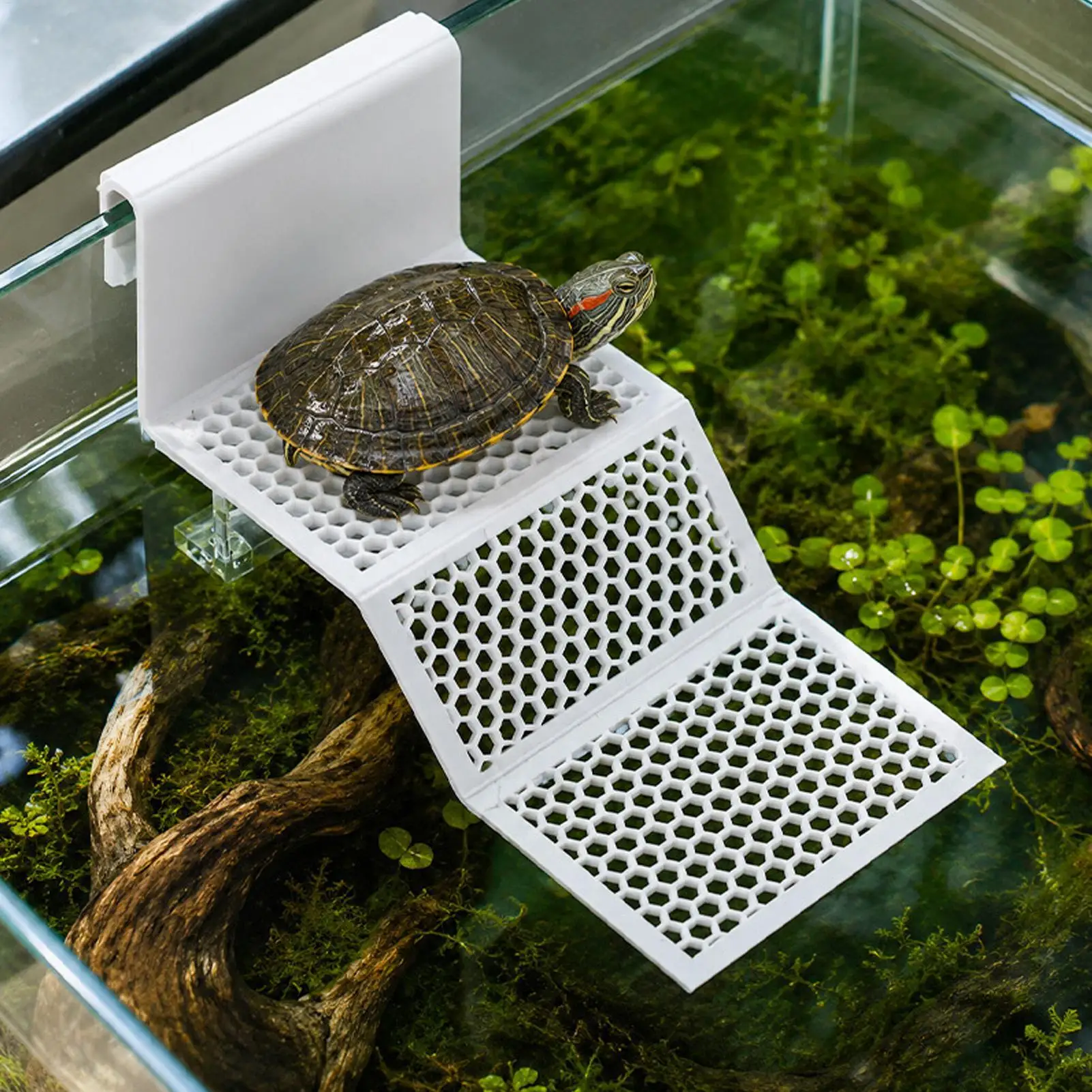 Suction Cup Turtle Dock Hanging Reptile Basking Platforms With Clip Aquarium Resting Ramp For Turtle Frog Newt Terrarium Access