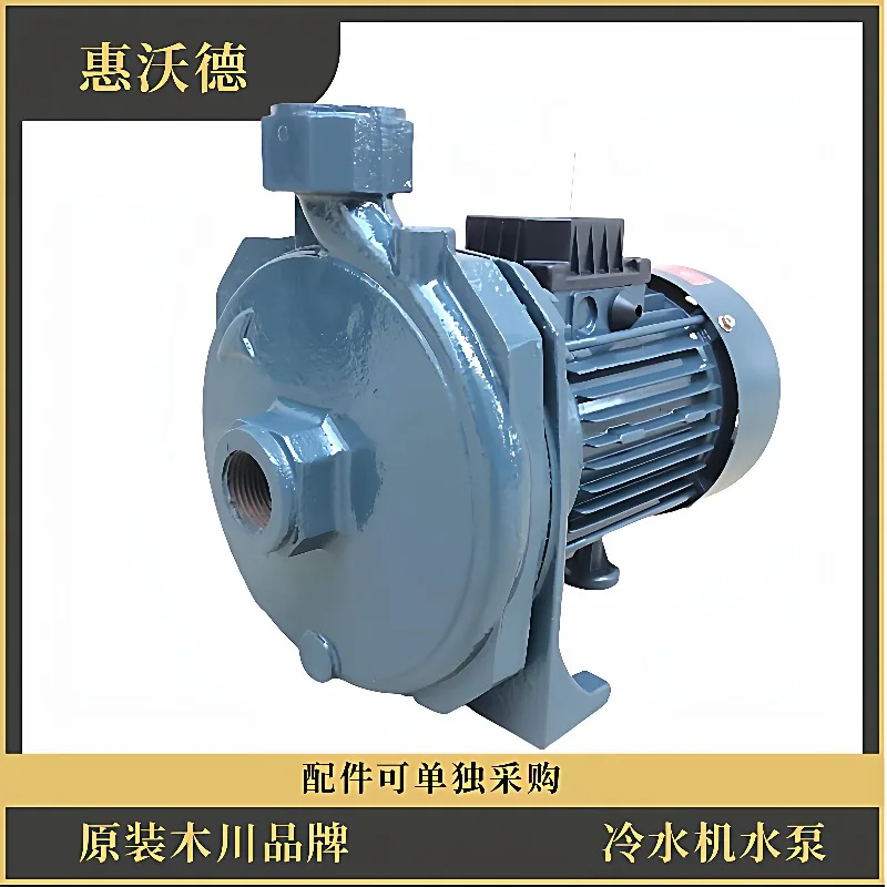 

Насос центробежный Muchuan Chiller Pump CM-100, горизонтальный, трехфазный, 415В/460В/480В, 60Гц, для горячей воды