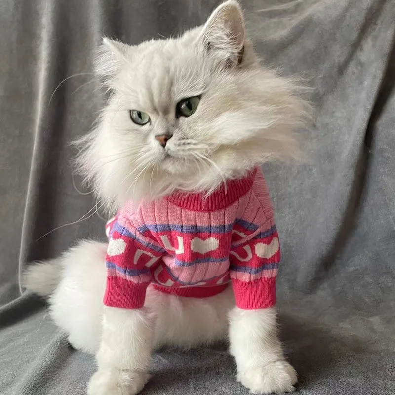 

Wholesale Winter Outdoor Pink Cartoon Knitted Cute Luxury Pet Cat Jacket Clothes