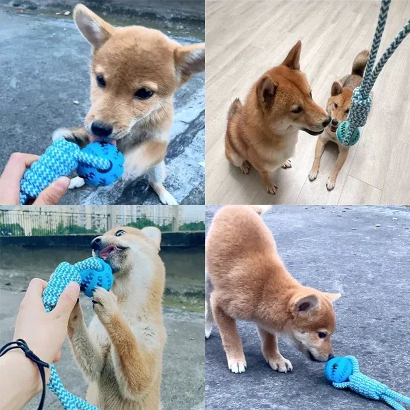 Dog Ball Toy with Rope Interactive Dog Rubber Leaking Balls Toy for Small Large Dogs Chewing Bite Resistant Toys Pet Tooth Clean