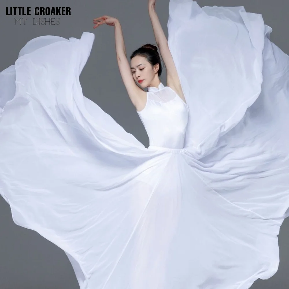 Ballet Ferry Half-length Practice Skirt Modern Dance Xinjiang Dance Photo Art Test Long Skirt Stage Performance Costume