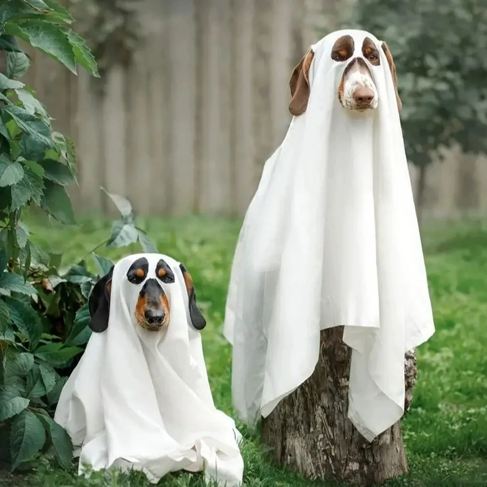 

Dog Cosplay Dress Up Breathable Dog Ghost Cape Scary Soft Ghost Dog Cloak Decorative Pet Cosplay Clothes Halloween