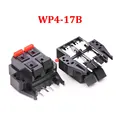 WP4-17B