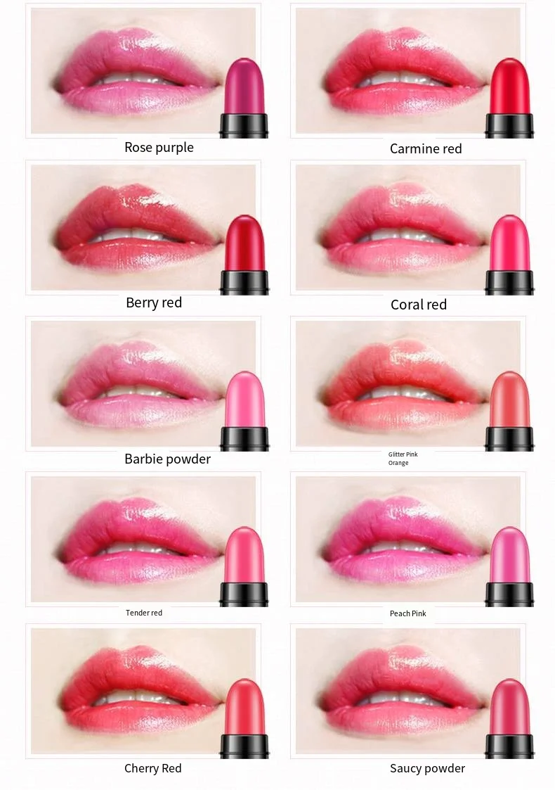 12 Kleuren/1 Doos Lippenstift Set Hydraterende Lipgloss Is Niet Gemakkelijk Om Make-Up Te Verwijderen Zonder Te Vervagen Lippenstift Oogschaduw Cosmetica