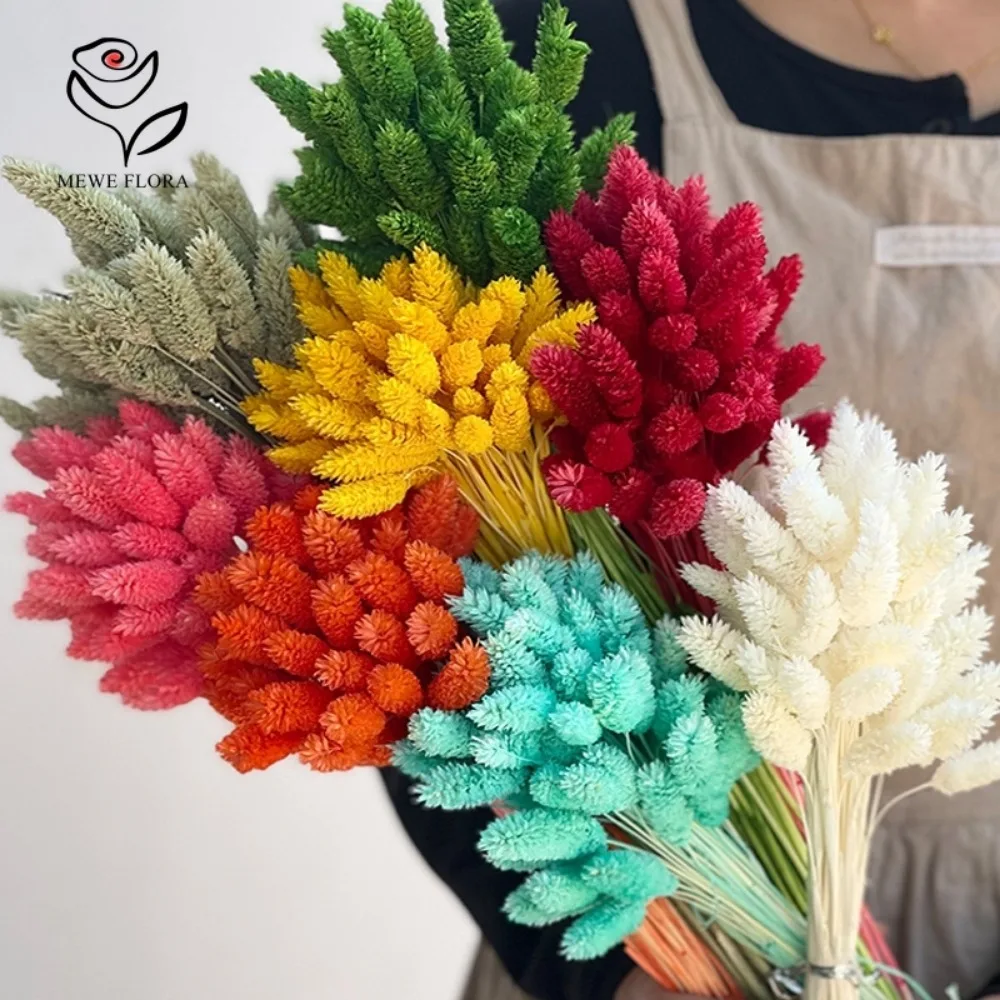 Dried Flower Jewelry Gem Grass Bouquets Living Room Home Decoration Real Plant Phalaris Wedding Flower Arrangement Photo Props