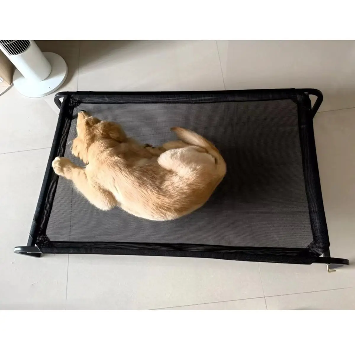 سرير مرتفع للكلاب قابل للطي سرير تخييم للحيوانات الأليفة بيت كلب القط محمول قابل للإزالة وقابل للغسل بيت قطط جرو سرير كلب #5