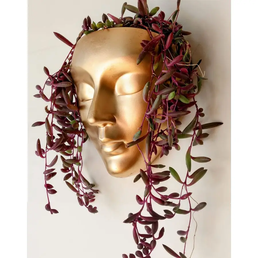 

Настенный кашпо в форме головы, 7 цветов, уникальный дизайн, идеально подходит для декора стен внутри помещений, отлично подходит для суккулентов или кактусов.