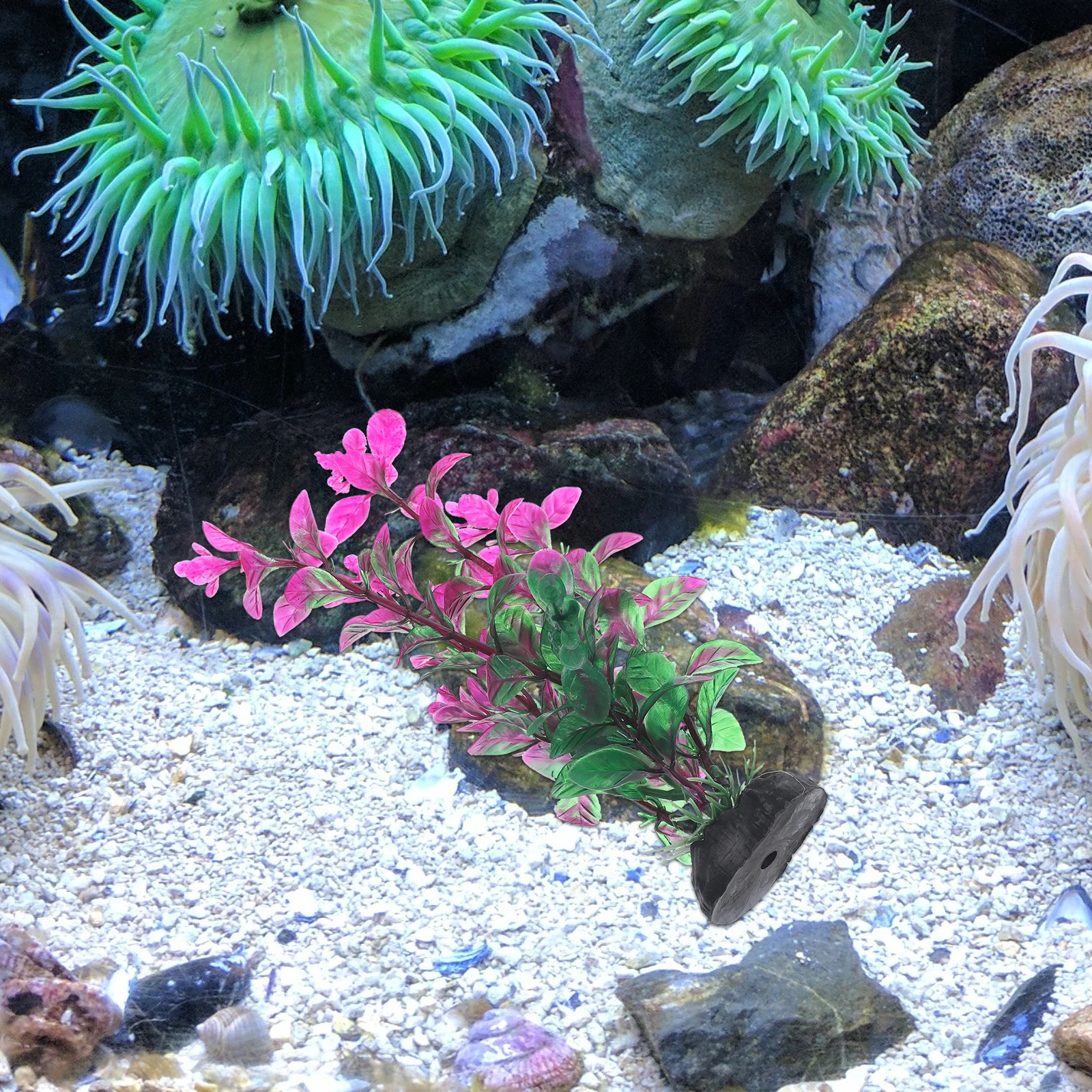 

12pcs Aquarium Decoration Realistic Plastic Plants Fish Tank L scaping Lifelike Safe Water Use Hidden Place Home Office Decor