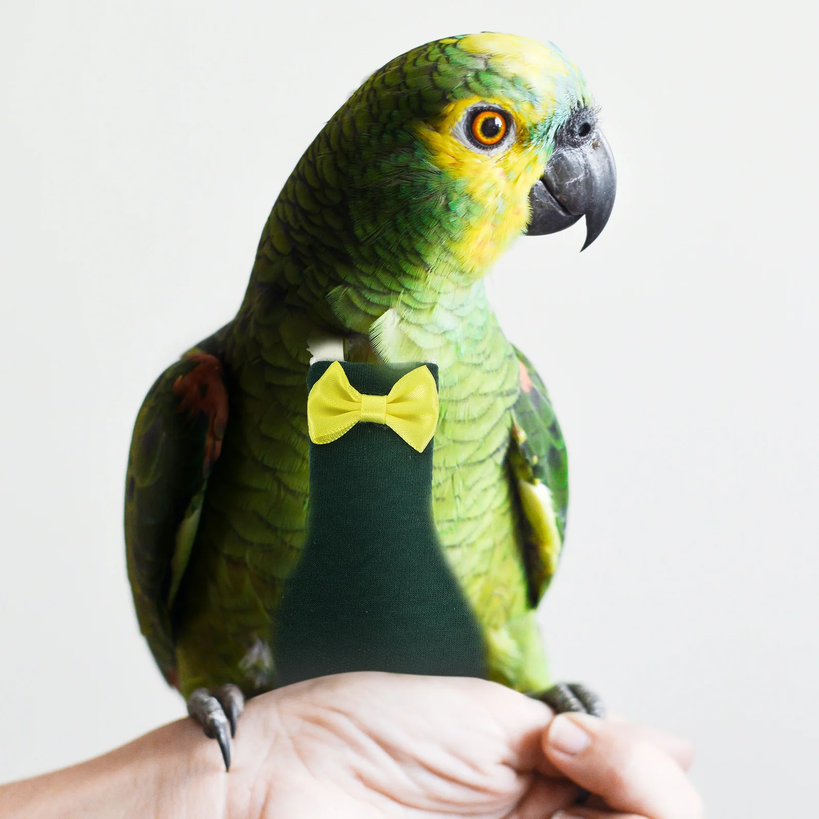 

Flying Bird Diapers Parakeets Cockatiels Small Parrot Clothing Protector Adjustable Cotton Cloth Flight Suit Bird Clothes