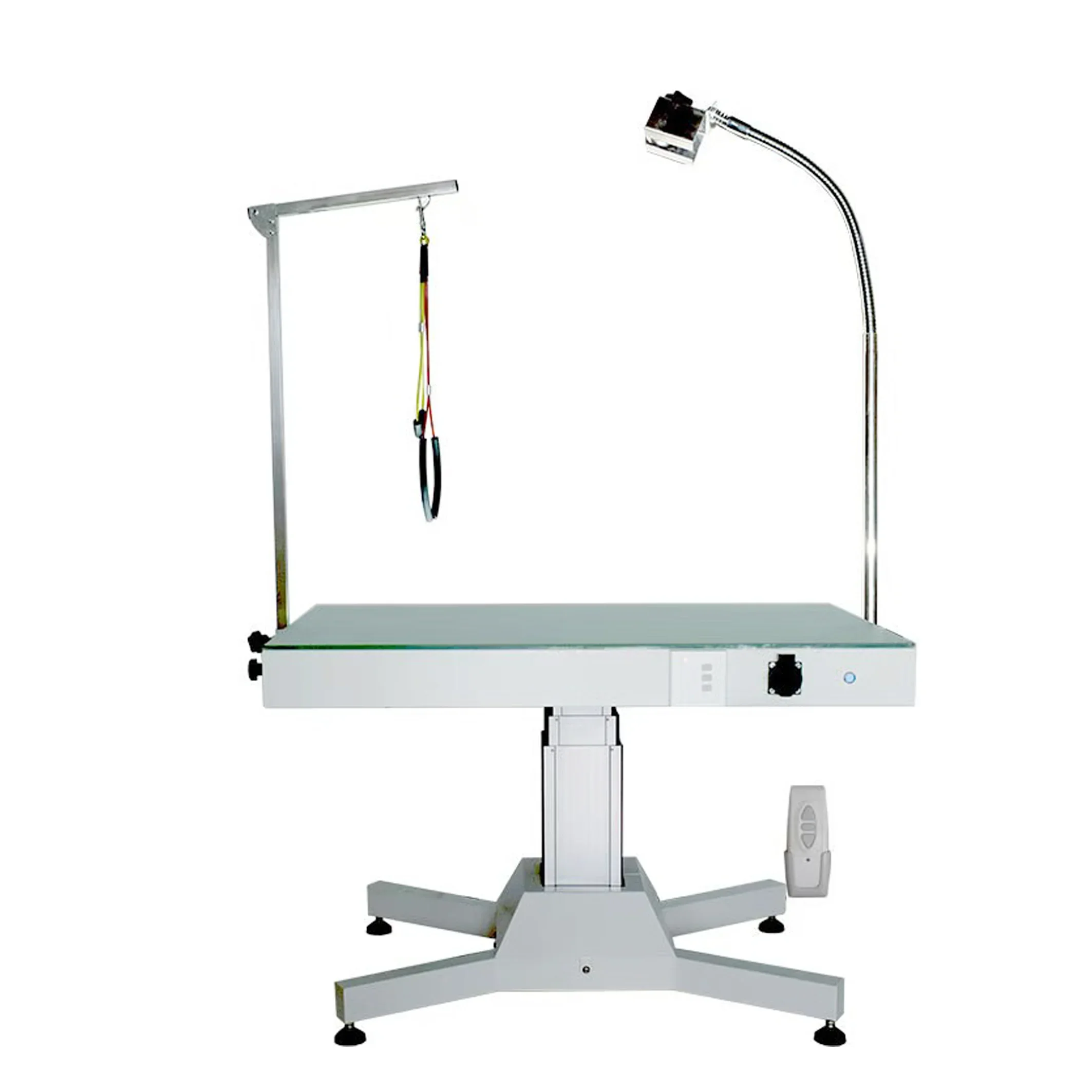 

PET LED Electric Veterinary Examination Table Lifting Feature Dog Cat Salon Grooming Table Animal Clinic Brushes Included