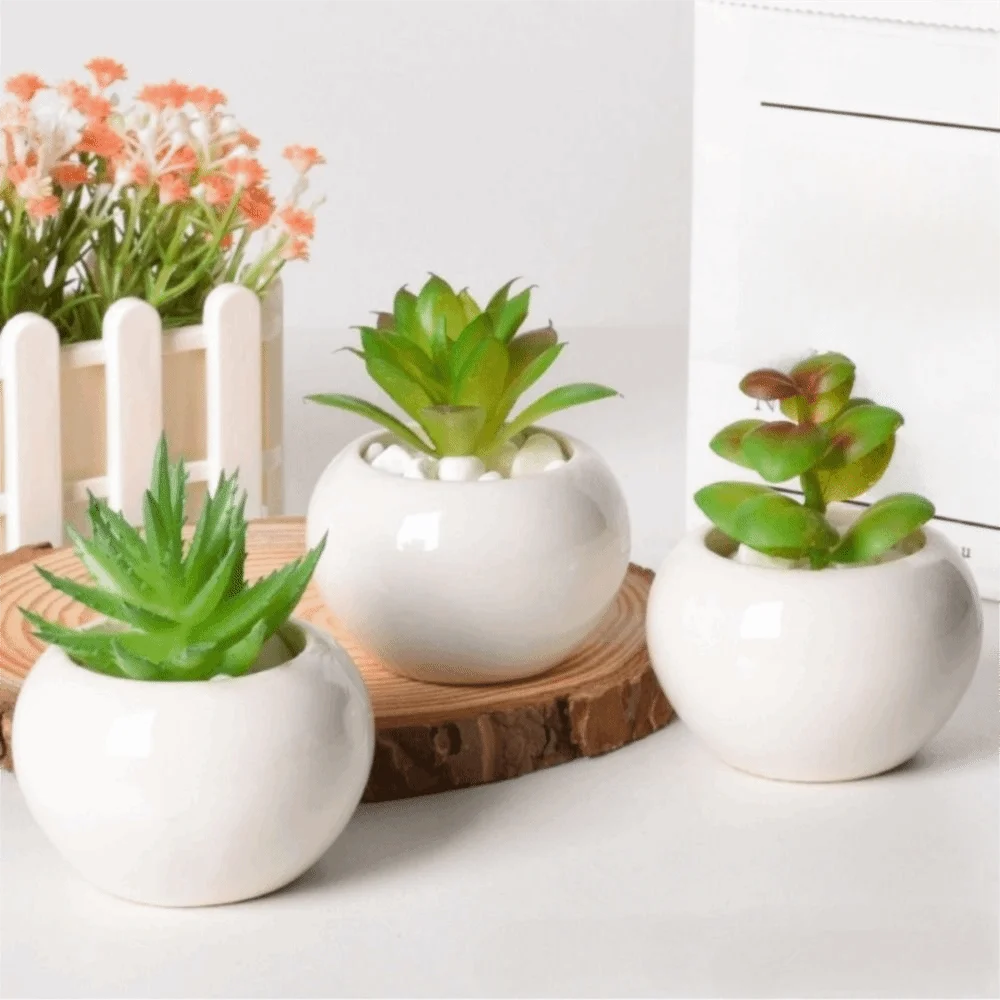 6Pcs New Mini Succulent Flower Pot White Simple Plant Potted Round Shape Drainage Hole Ceramic Pot Green Plant