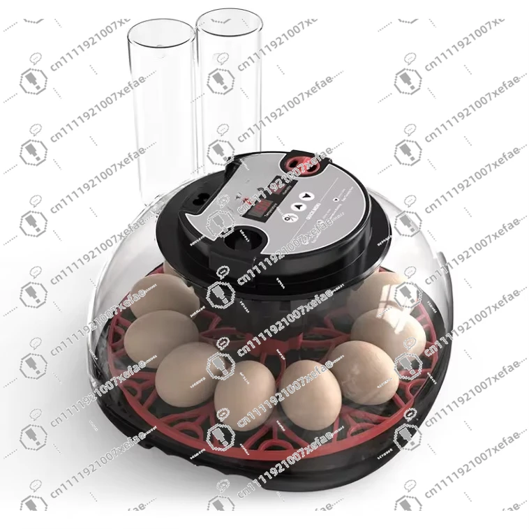 Small Automatic 12-Egg Incubator Chicken Hatcher for Sale- Home Farming And Breeding Tool
