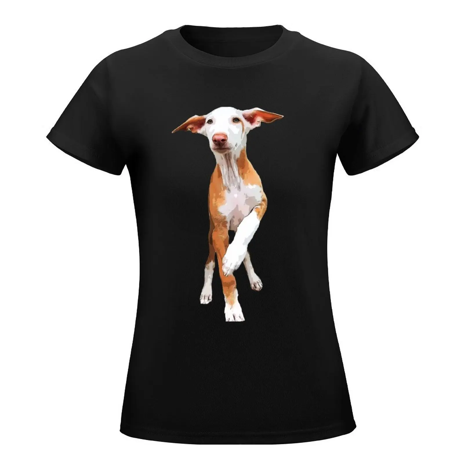 Podenco Dog Podenco Canario T-Shirt female tops quick-drying cute tops Women t shirt