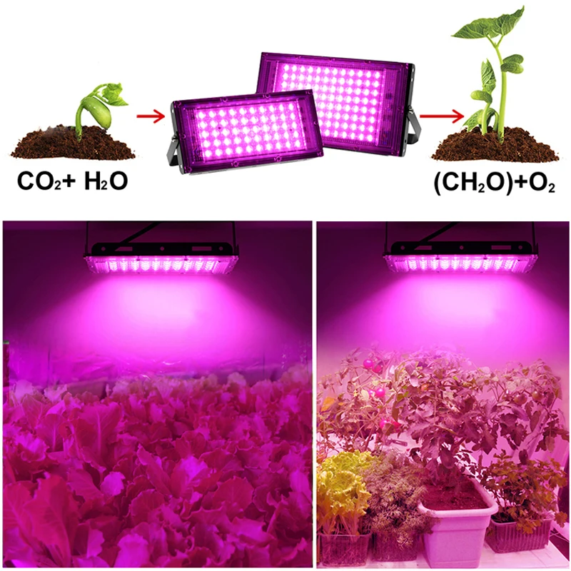 220V Full Spectrum LED Grow Light 100W 200W 300W Phyto Lamp For Plant Light Hydroponic Lamp Greenhouse Flower Seed Grow Lighting