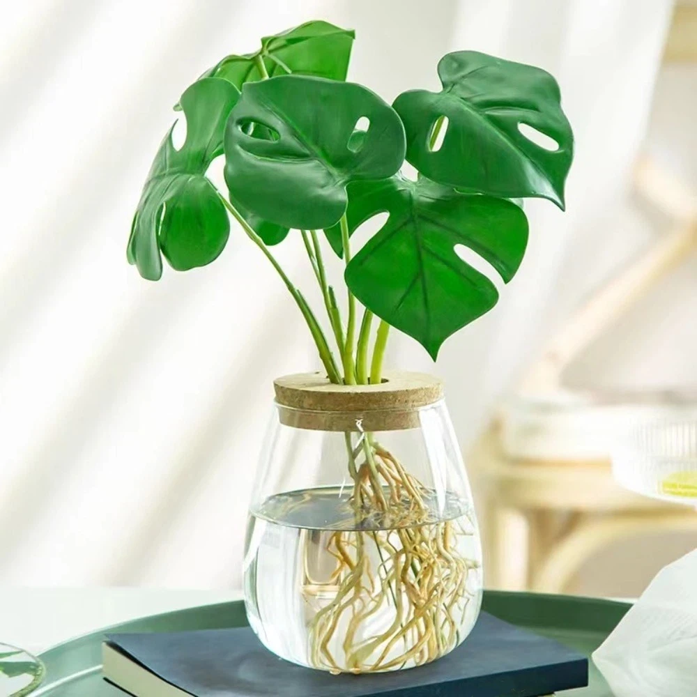 

Vase Rack Transparent Hydroponic Flowerpot with Wooden Tray Decorative Plant Propagation Station Glass Glass Planter DIY Planter