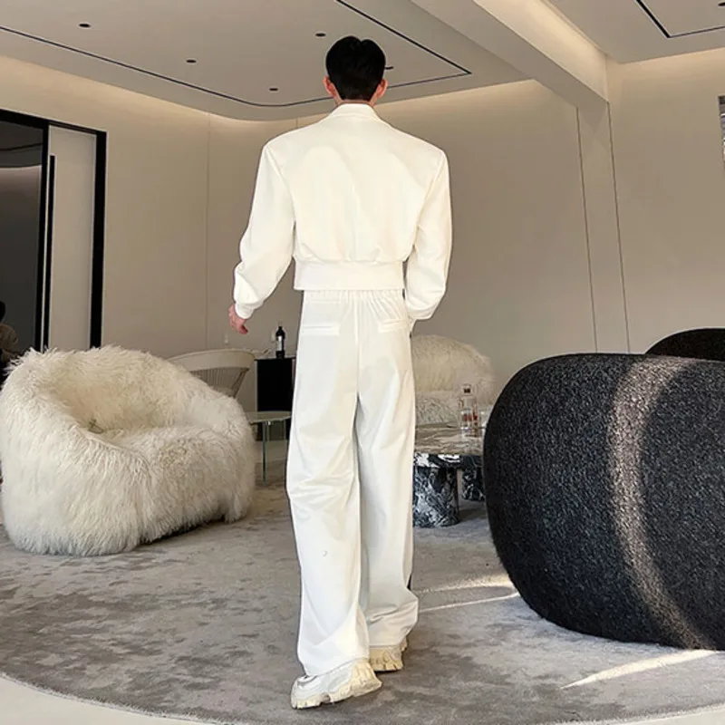 IEFB Korean New Fashion Men\'s Sets Two-piece Solid Color Short Jacket Suit Strip Wide Leg Pants Casual Trend Male Suit 9A7744