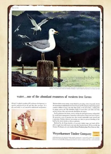 water abundant resource Weyerhaeuser Timber 1959 lake scene sea gull metal tin