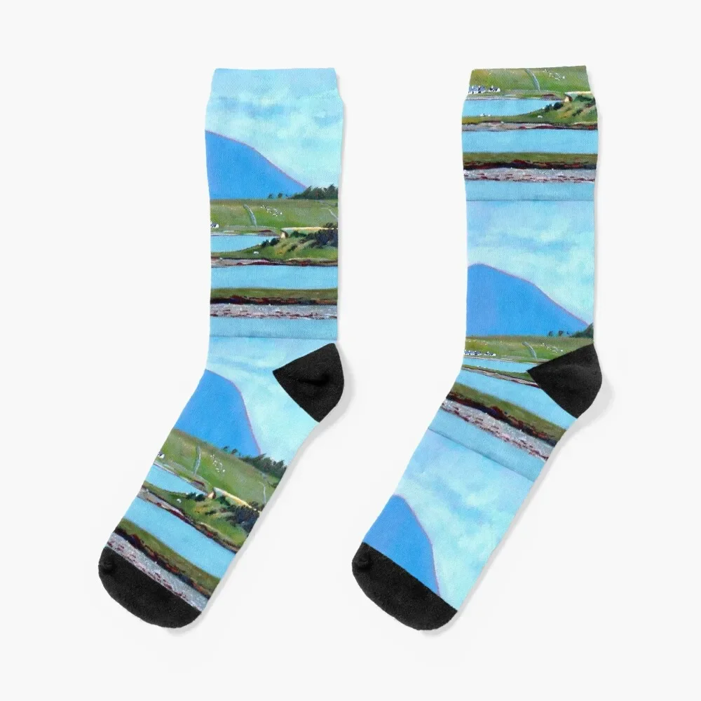 

Clew Bay, Nephin(County Mayo, Ireland) Socks with print Children's Male Socks Women's