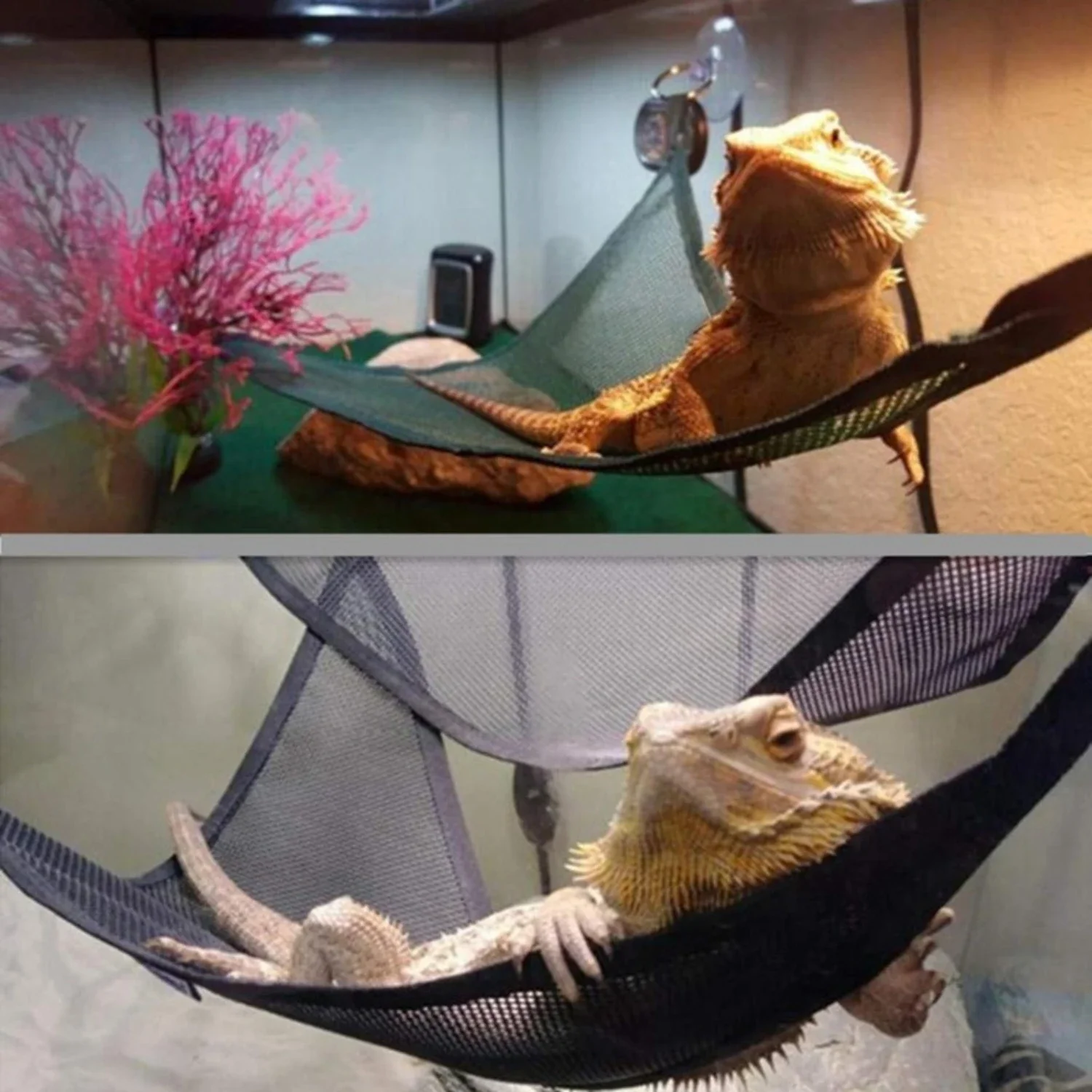 

Luxurious and Cozy Hammock Lounger Set with Durable Ladder Accessories, Ideal for Bearded Dragons, Anoles, Geckos, Lizards, and