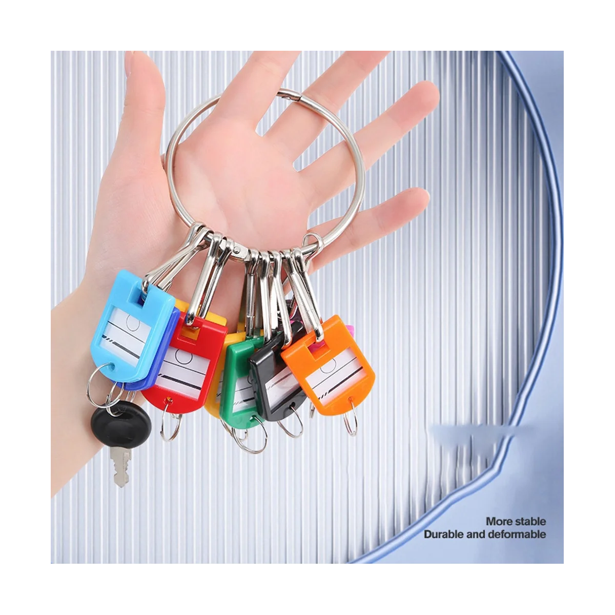 Portable Metal Ring Key Organizer with 10 Spring Hooks & Key Tags with Ring and Label Window