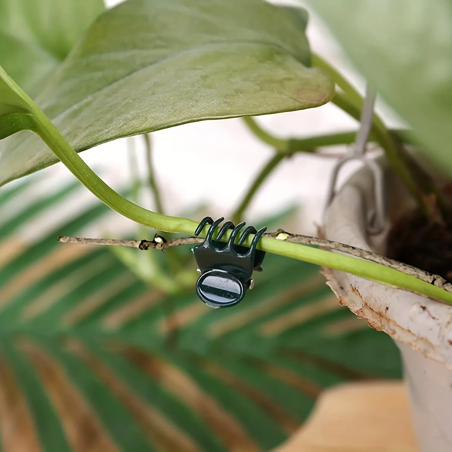 42PCS Garden Plant Support Clips Reusable Vine Stem Fastener For Tomato Cucumber Orchid Rose Trellis Fence Fixing Tool