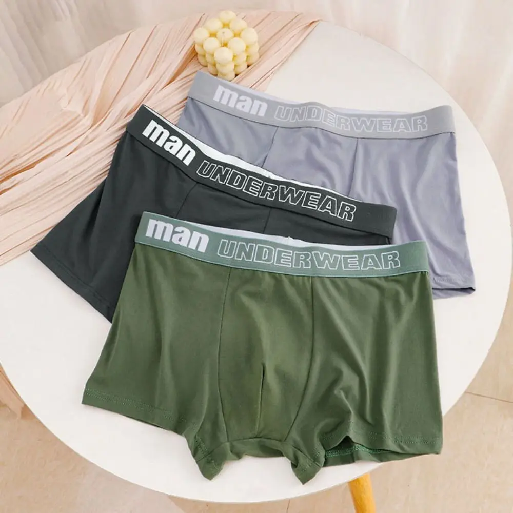 

4Pcs Comfortable Plus Size Men's Boxer Briefs Mid Waist Lingerie Man Underwear Seamless Letter Panties Gifts