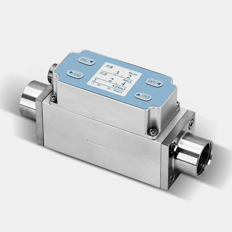 Misuratore di portata digitale per gas micro termico per misurazione del flusso di gas naturale Co2 GPL Azoto